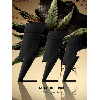 Bad Boy Le Parfum EDP